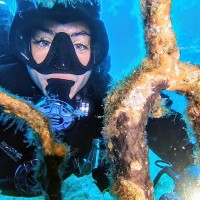 Francisca Isadora Abuter Grebe