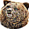 Buster The Bear