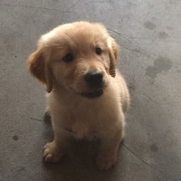 袁运之