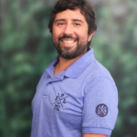 Matias Fernandez