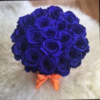 خلود المطيري