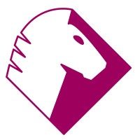 Schaakopening Essenties