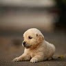 M Sujitha