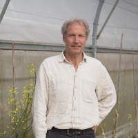 Friedemann Ebner
