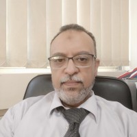 kamel aly