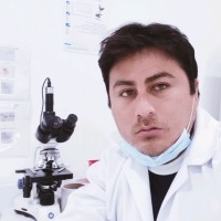 Jose Ernesto Cubas Farro