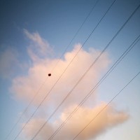 Victoria Martinez Poveda