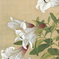 郑飞祥