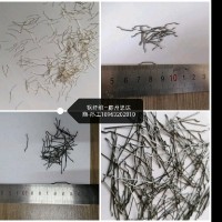 孙延斌