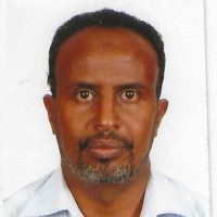 Ali Hersi