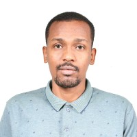 mostafa ibrahim