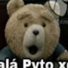 piter G