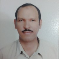 alaa moatamed