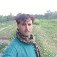 Saif Ullah