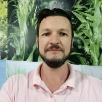 Rogerio Bai Gomes