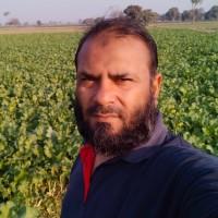 Amjad Ali (Cscp-Dscm)