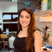 Hiba Abu Hariri
