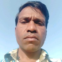 Basar Basar