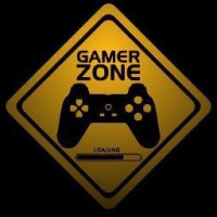 Company Gamerzone
