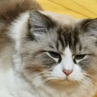 许小杰