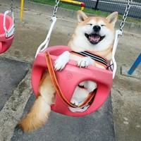 甘海林