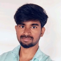 Vigneshkumar P