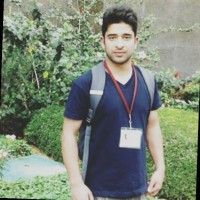 Yawar Hamid