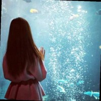 王月华