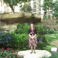 Donna Krog