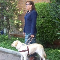 Perros Guía Institución Iap