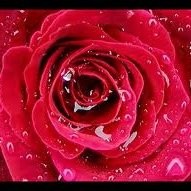 الغرور ليس طبعي