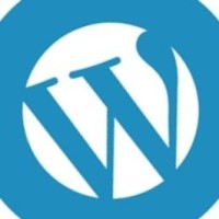 Wp Awesome Theme