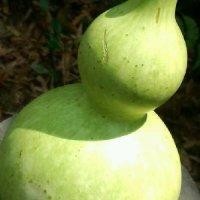 冯俊飞