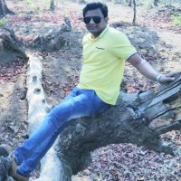 Pritesh Telang