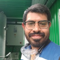 David Alpizar Solis