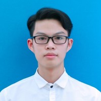 Luc Vu Duc