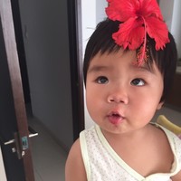韩丽丽