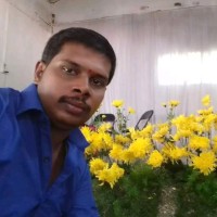Shashidara D
