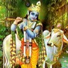 Ankit Kumar