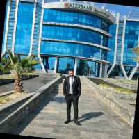 Hossam Eldin Refaat