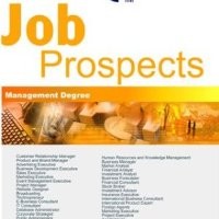 Ritesh Shastri ( LION )