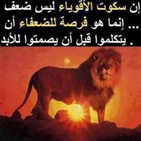 Mohamed Hussein 00000