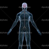 giorgi tsikarishvili