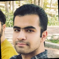 Amir Ansari