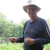 Raymond Kaufmann