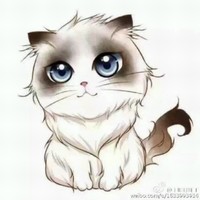 陆东东