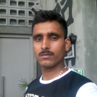 Papai Roy