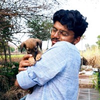Aravind V Ramanavar