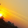 Rakesh Mistry