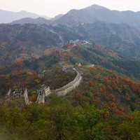 徐建忠